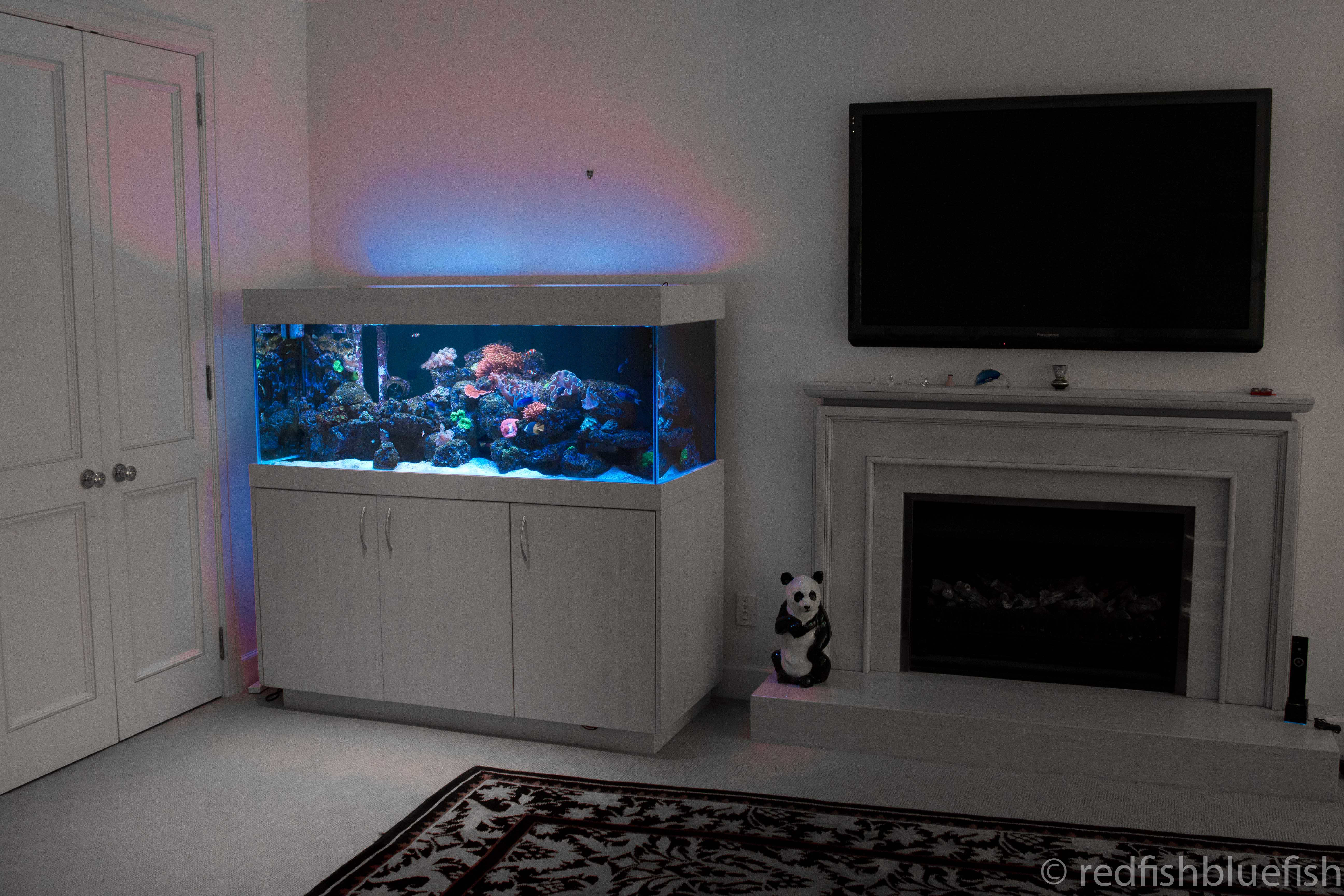 View Our Aquarium Design Fish Tanks Garden Ponds Redfish