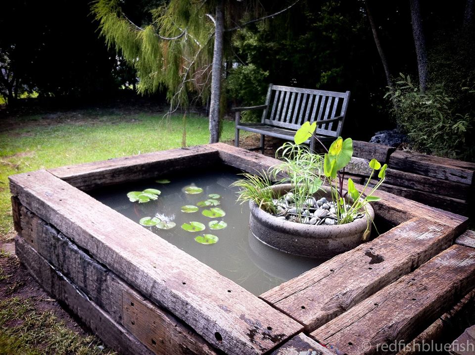 Outdoor Garden Pond 11351370_915488228514577_2192821201696626940_n