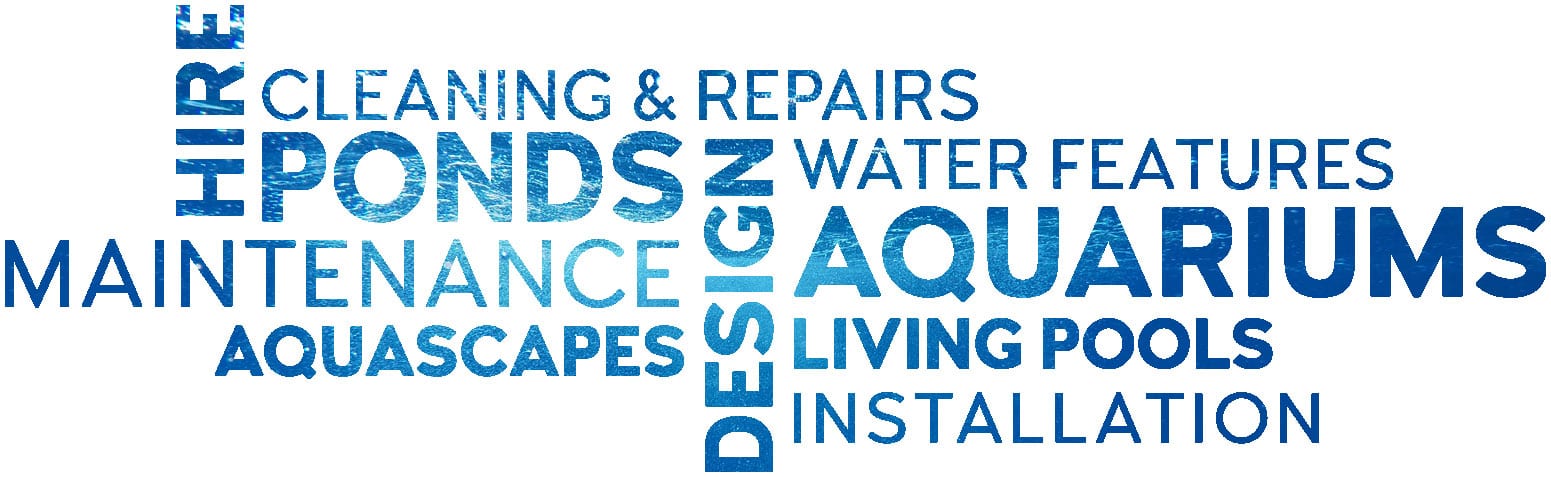 pond and aquarium services-word-cloud