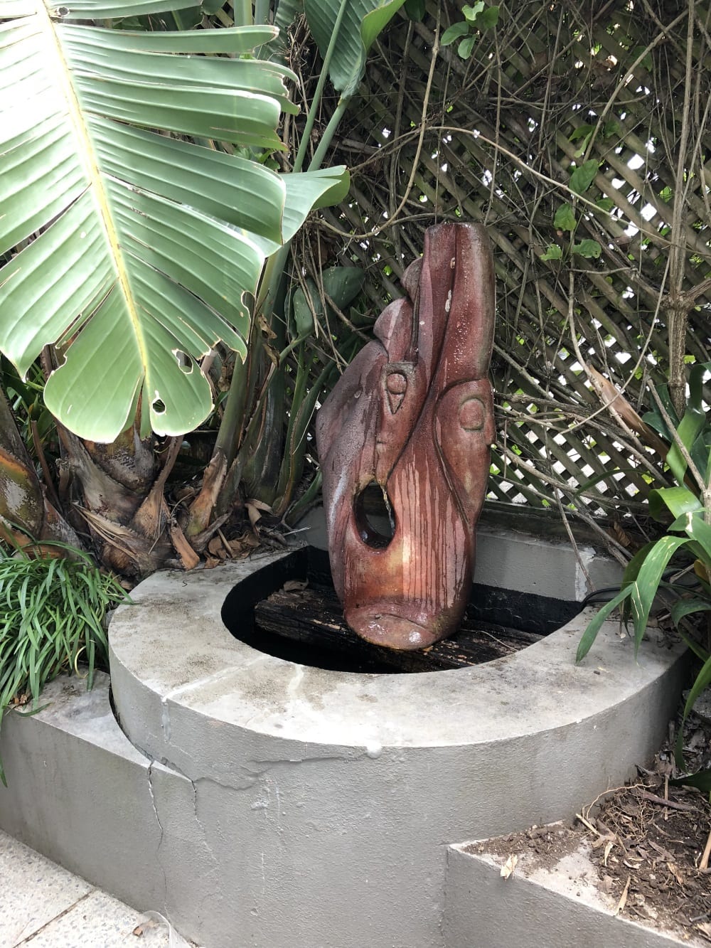 unique water feature and palm