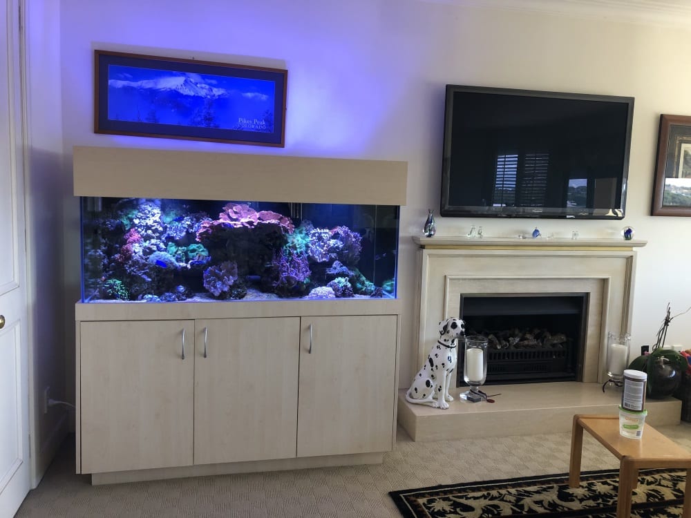 residential aquarium in living room