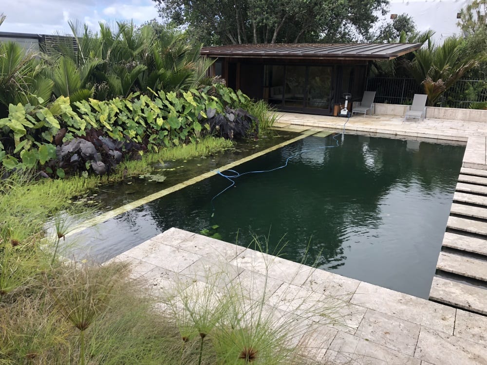 cleaning natural swim pond