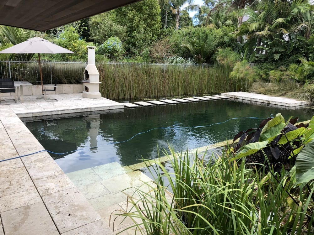 natural swim pool with plants