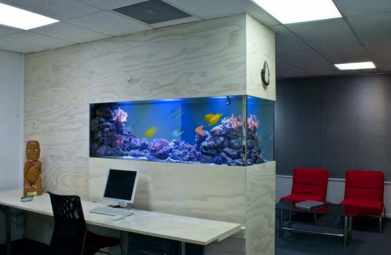 Lease/Hire Aquariums in Auckland