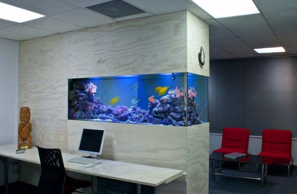 commercial aquarium hire