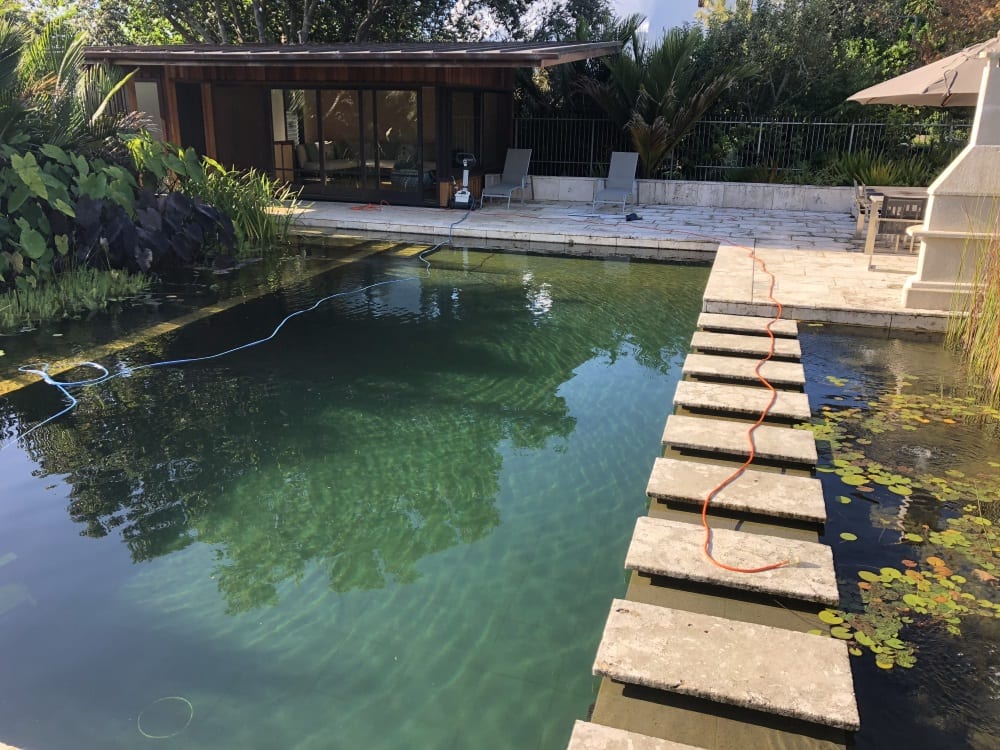 Swim Pond Maintenance