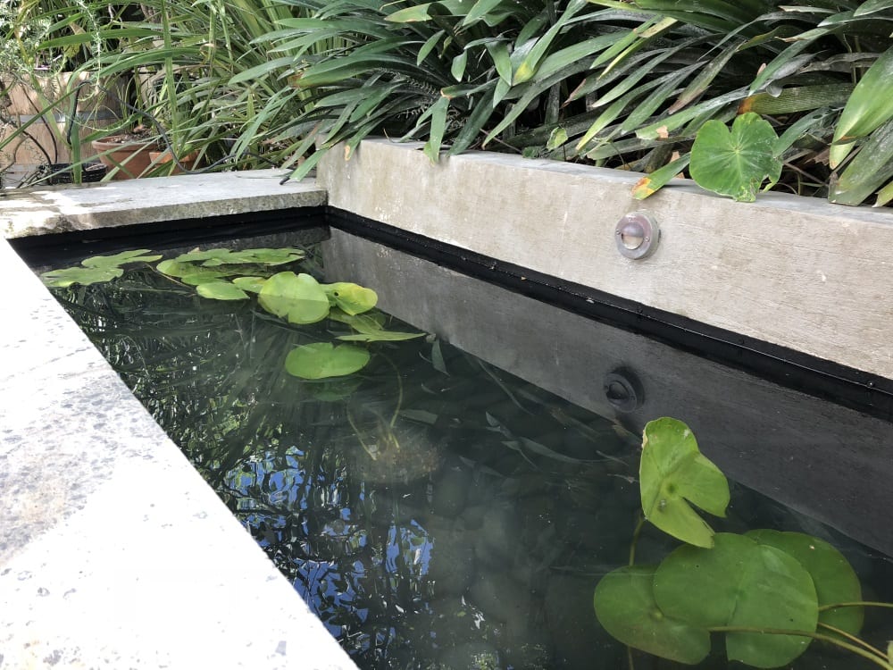 Ponds & Water Features Troubleshooting