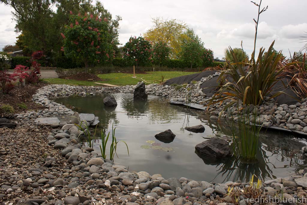 Large garden pond