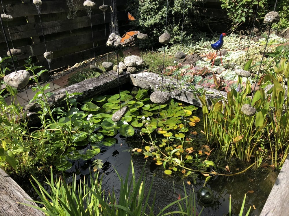 Products - Ponds & Water Features
