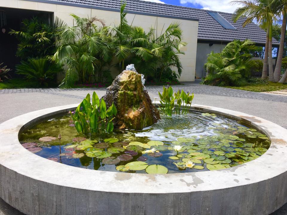 Garden pond with water feature