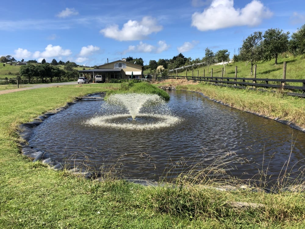 retention pond on lifestyle block with sprinkler water feature