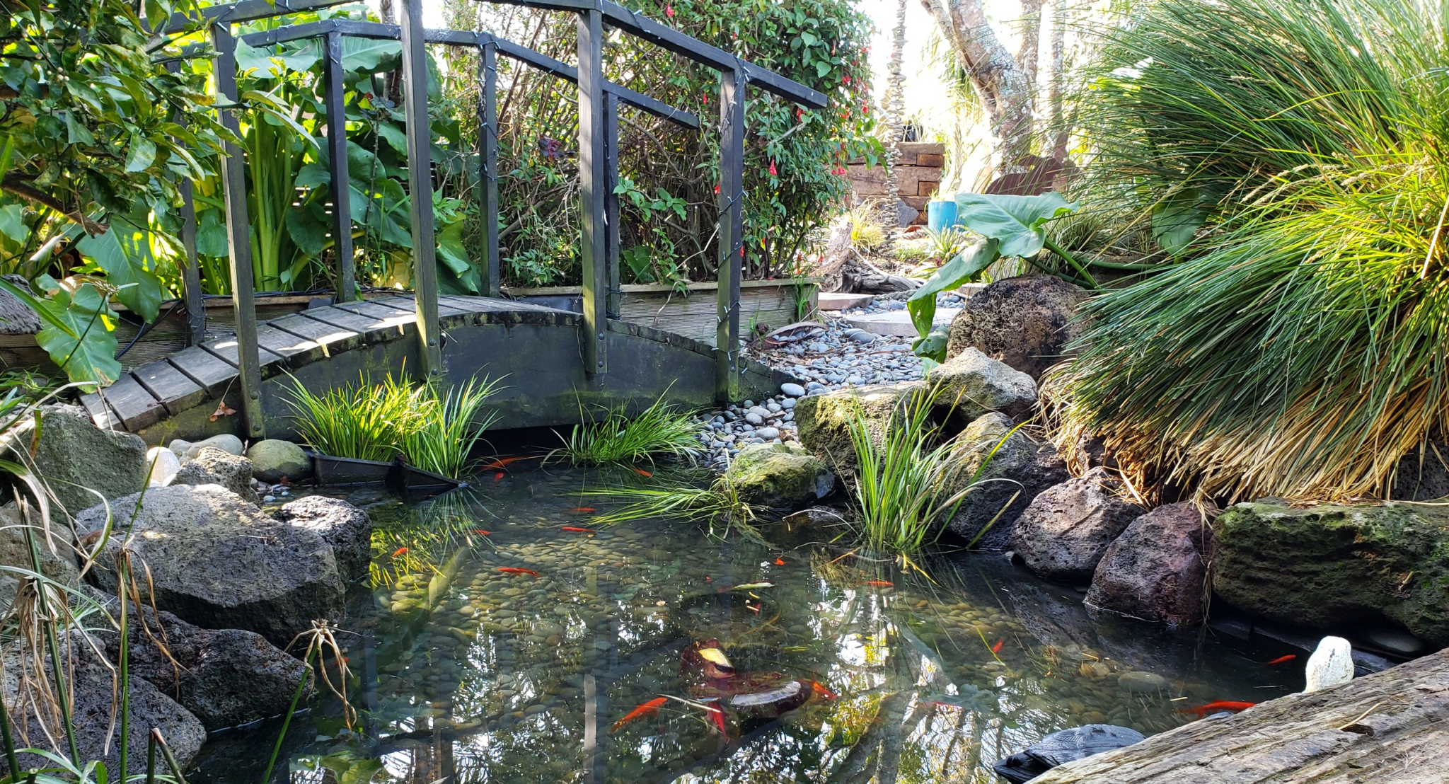 Fish Pond With Bridge