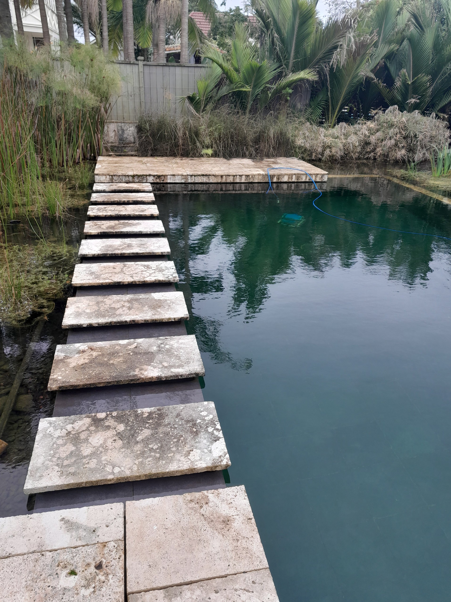 Pool Stepping Stones