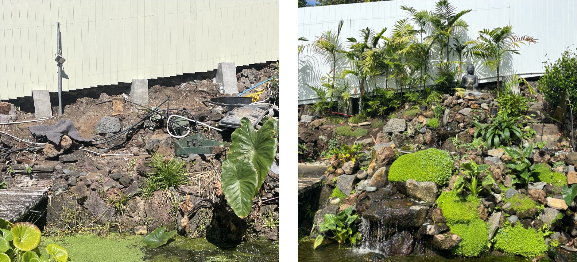 Pond Makeovers