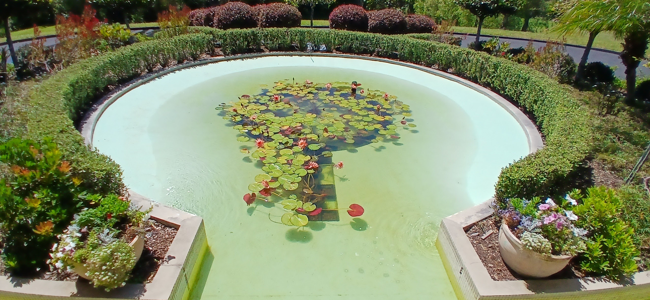 How to protect your pond