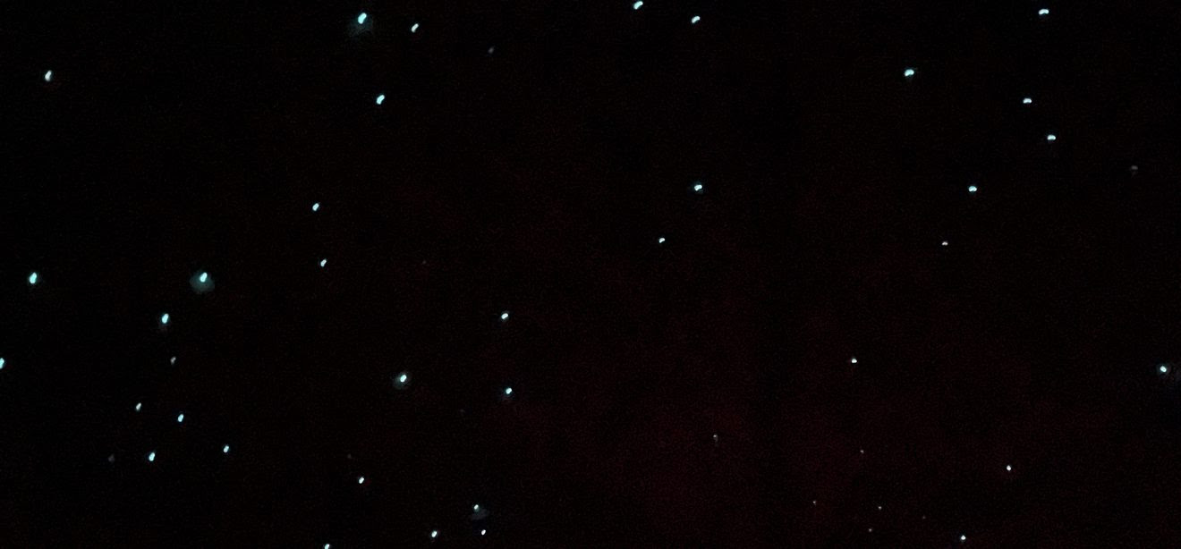 Rotorua Glowworm caves